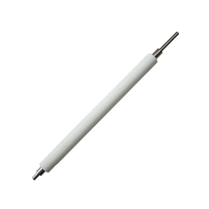 Zebra Platen Roller Kit [G22101M]