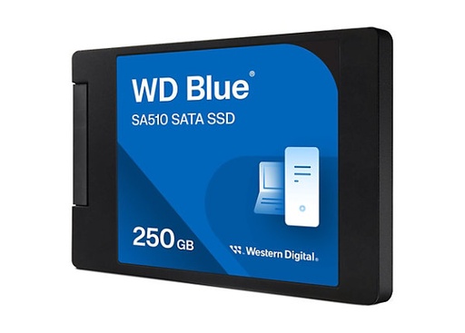 [WDS250G3B0A] Colormetrics SSD, 250 GB [WDS250G3B0A]